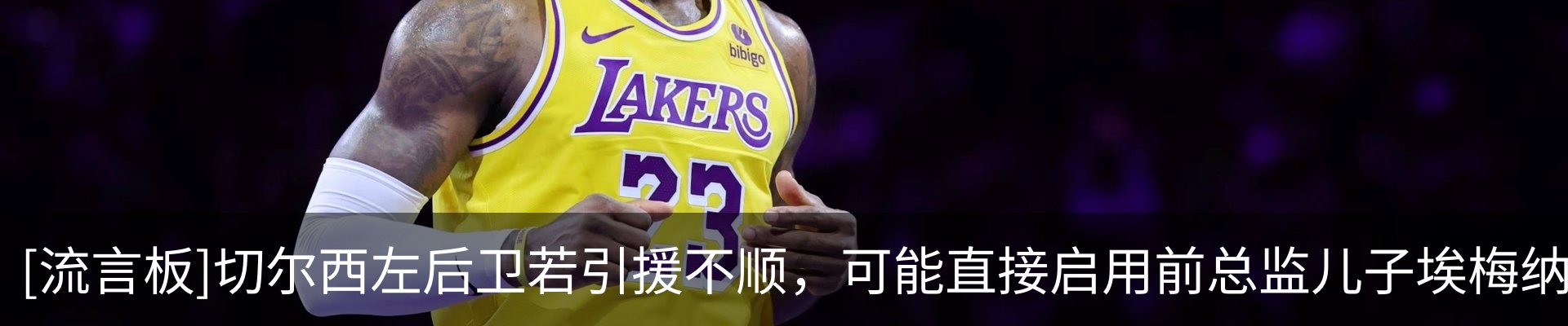 新闻动态